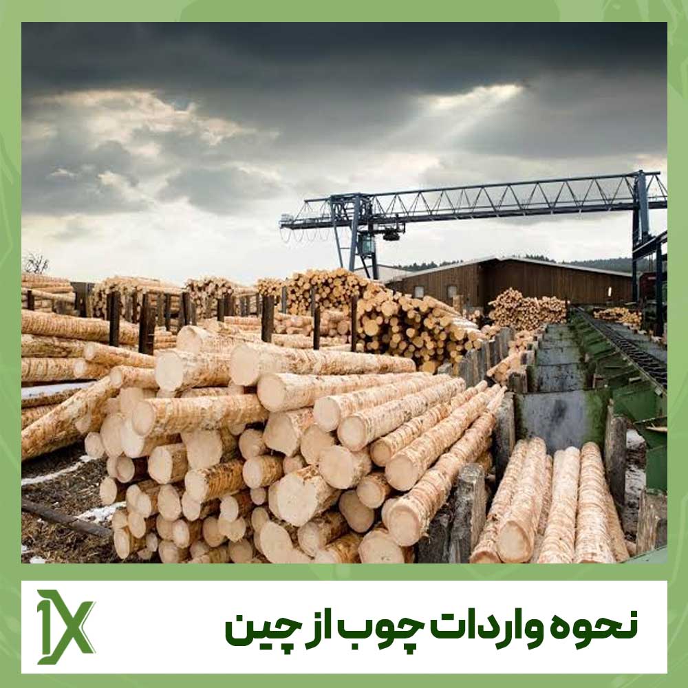 نحوه واردات چوب از چین و نکات مهم آن